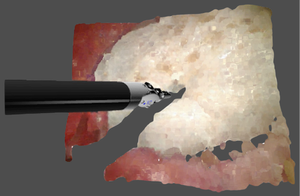 project thumbnail